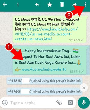 whatsapp group send message read